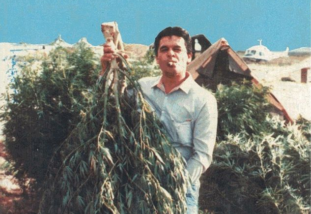 Hvad er THCA og CBD? – En guide til de populære cannabinoider
