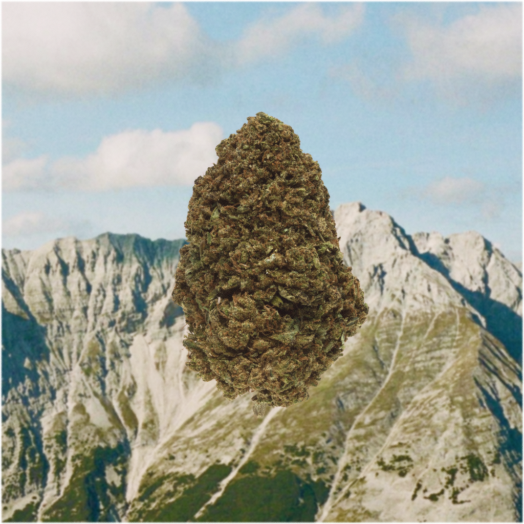 PINEBLISS CBD