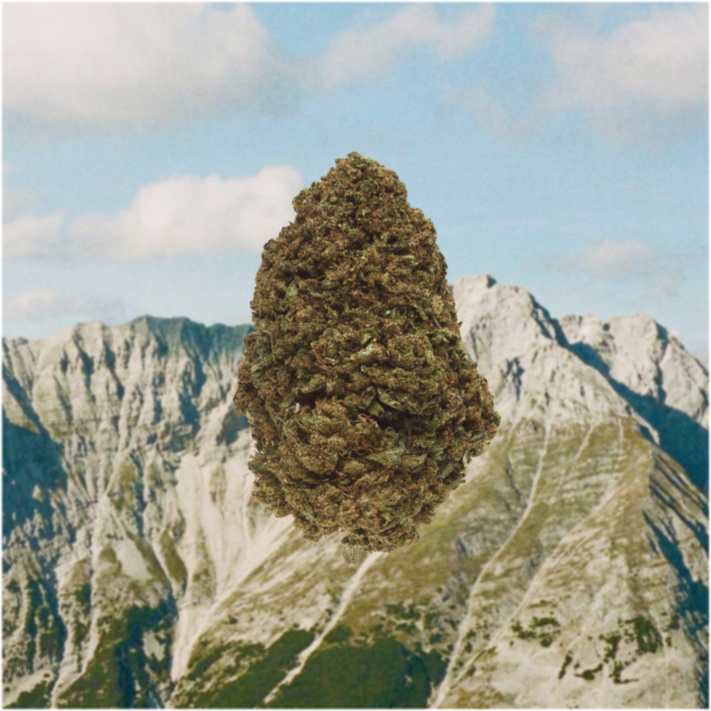 PINEBLISS CBD
