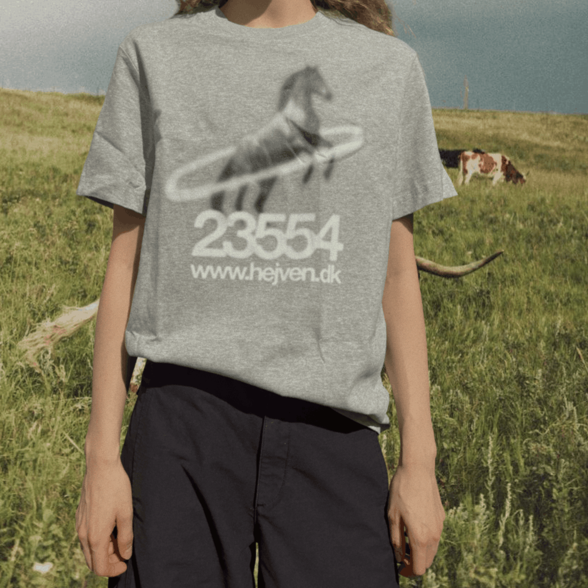 Grey Horse