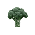 broccolini?