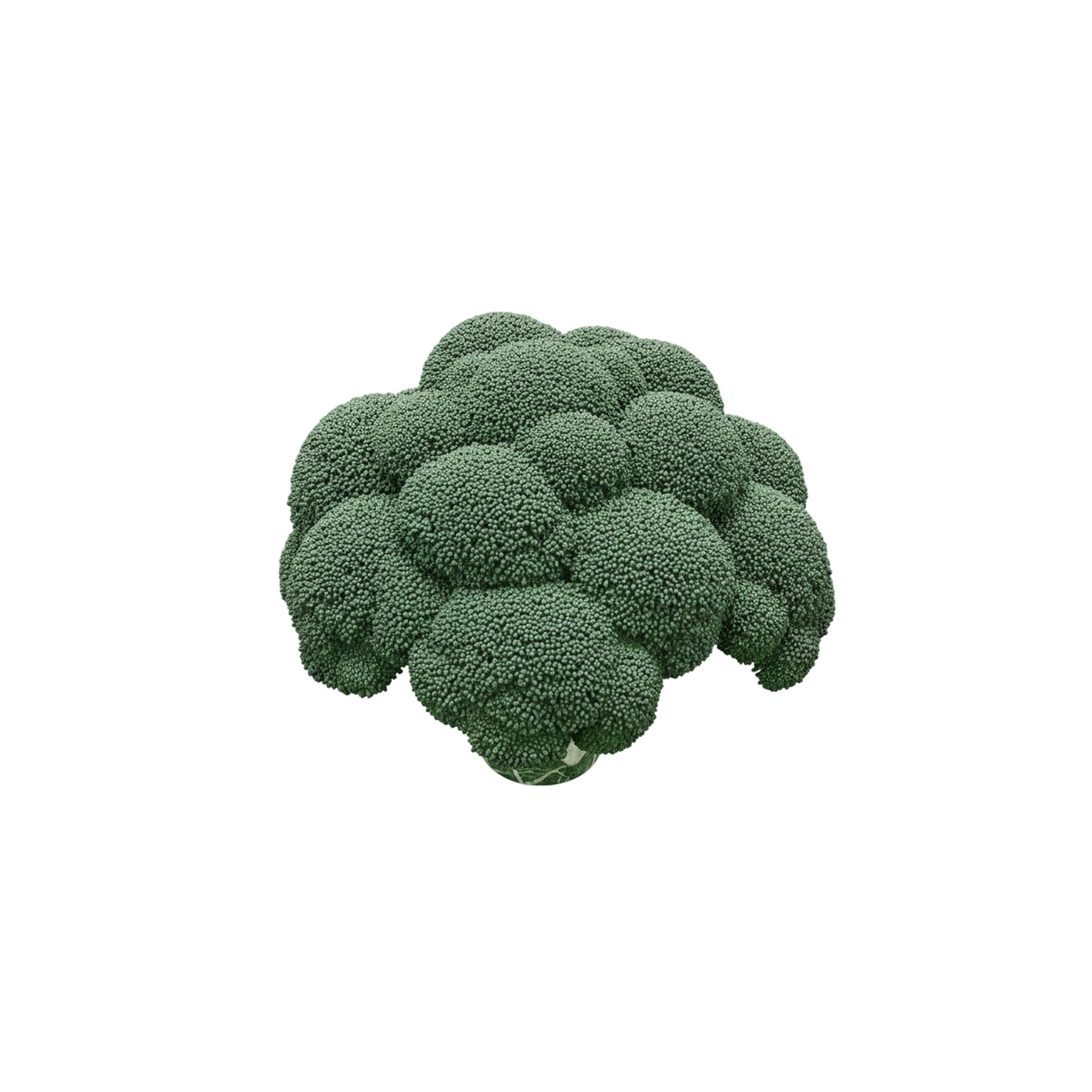 broccolini?