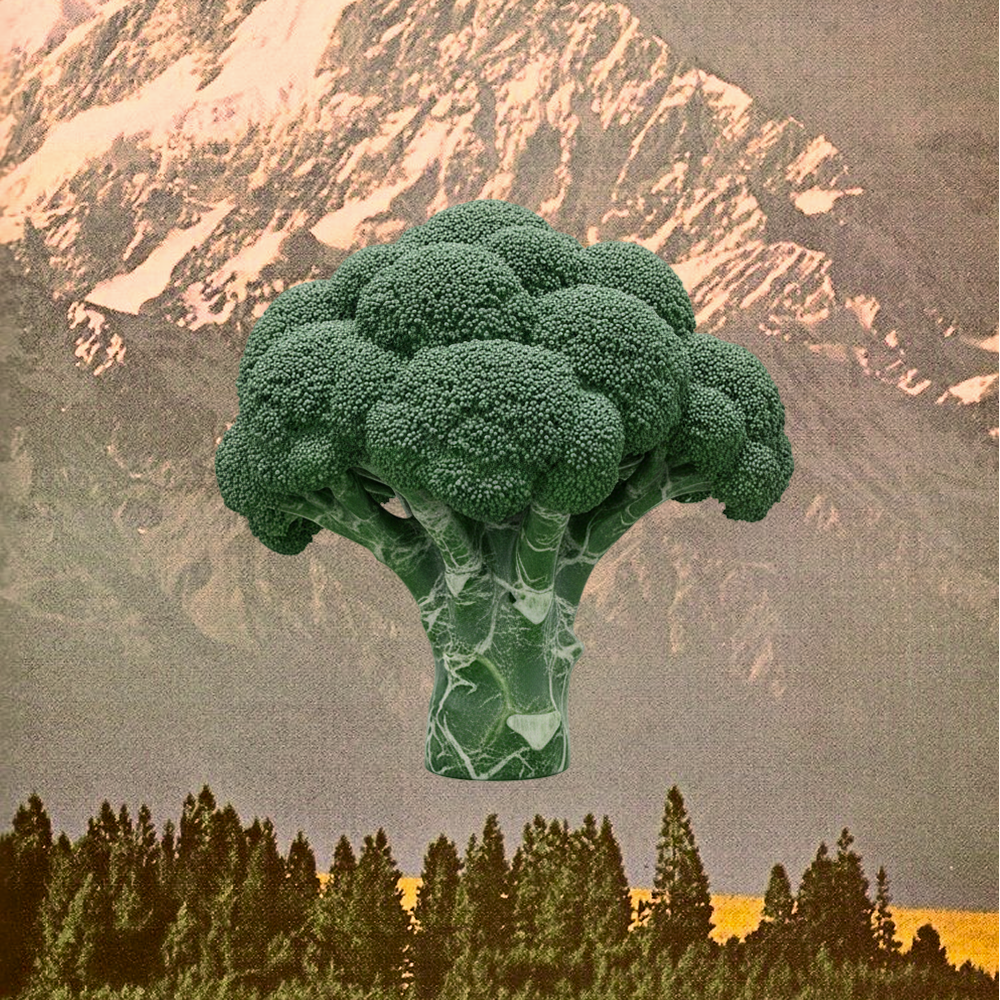 broccolini?
