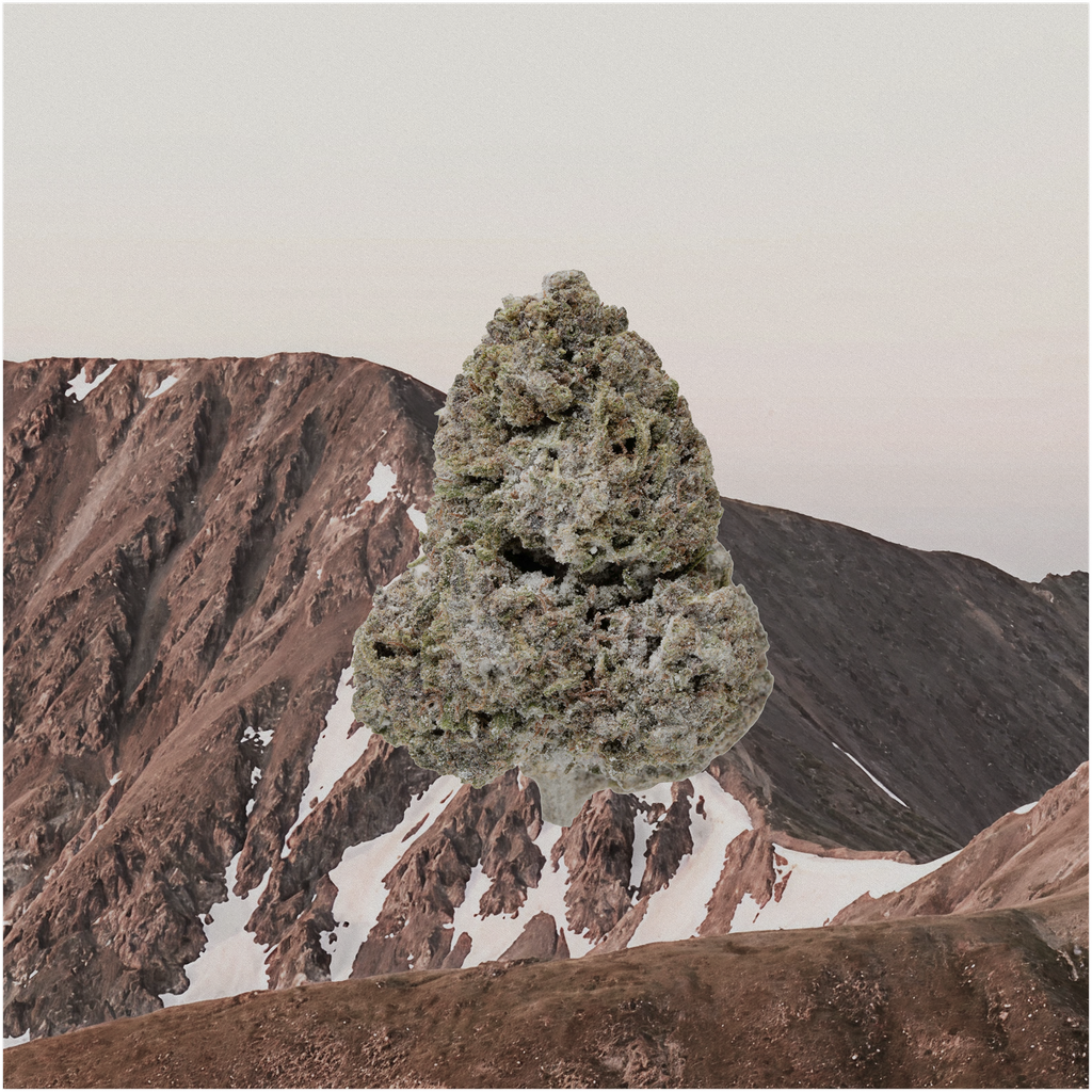 PINEBLISS THCA