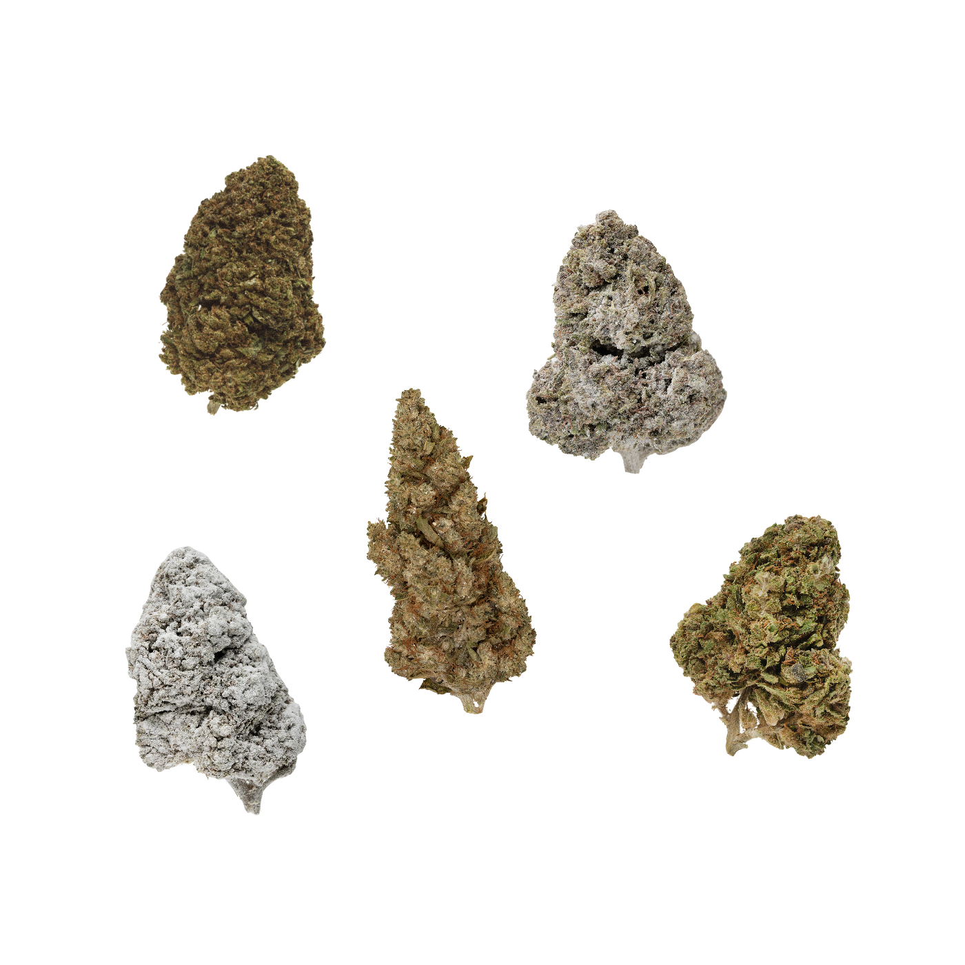 Weekend Pack